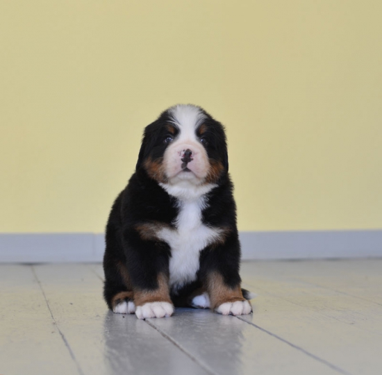 5 weeks 7