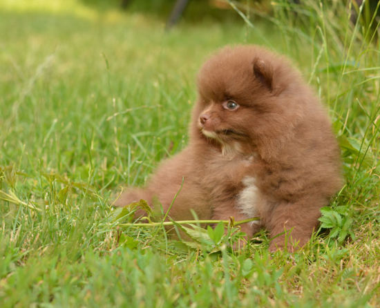 7 weeks 1