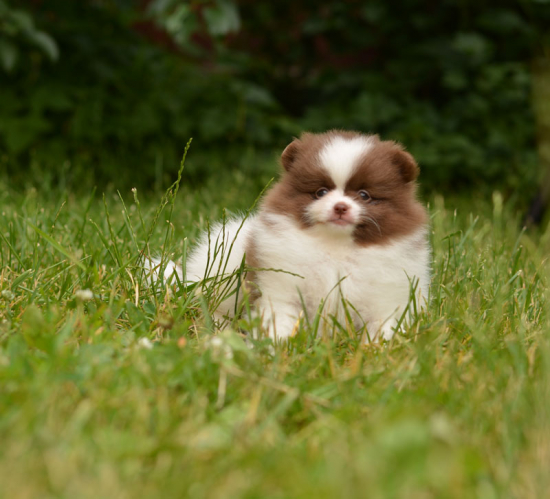 7 weeks 7