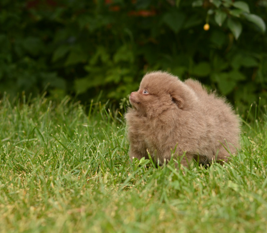 7 weeks 2
