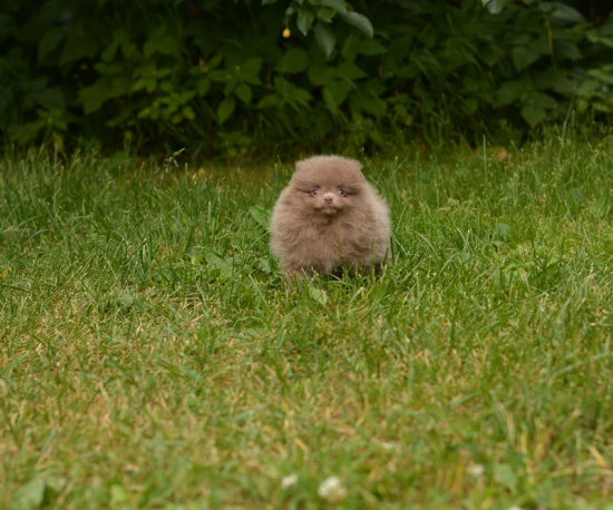 7 weeks 7