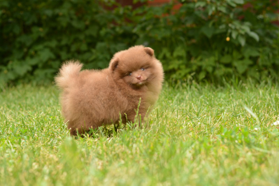 7 weeks 4