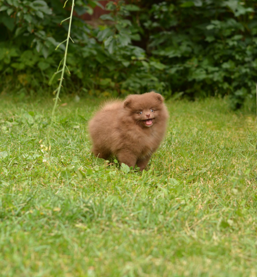 9 weeks 1
