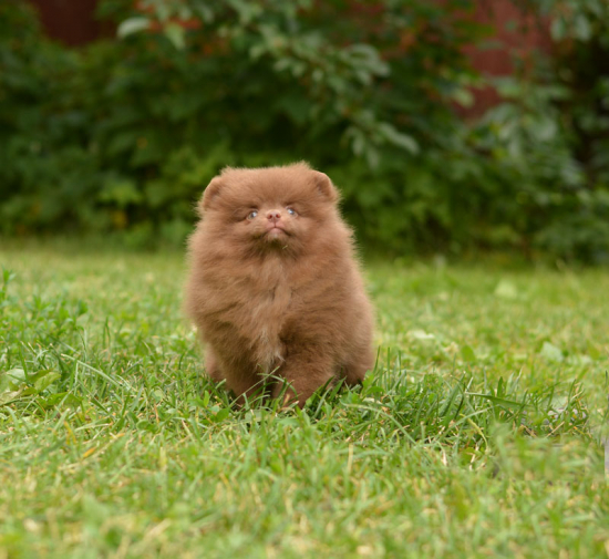 9 weeks 2