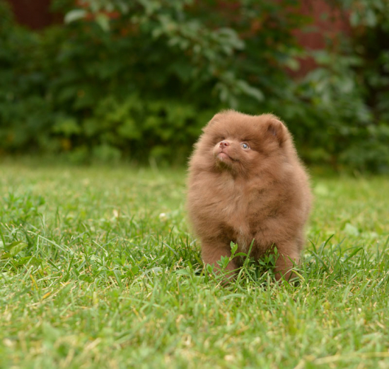9 weeks 3