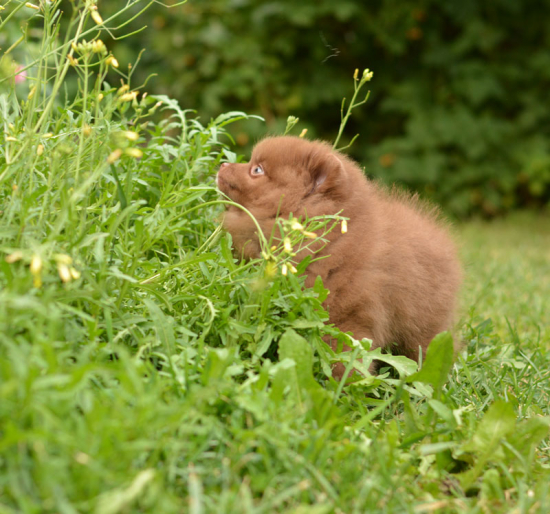 9 weeks 7