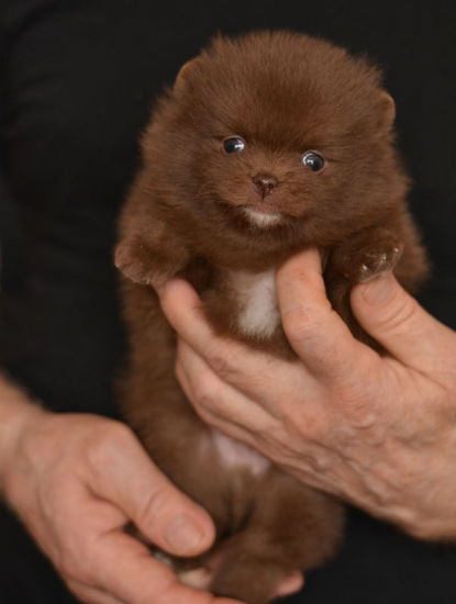 m 5 weeks
