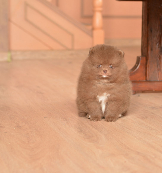 7 weeks 2