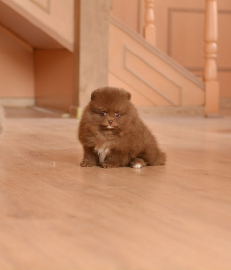 7 weeks 9