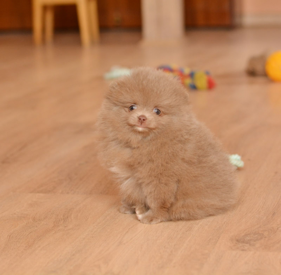 7 weeks 2