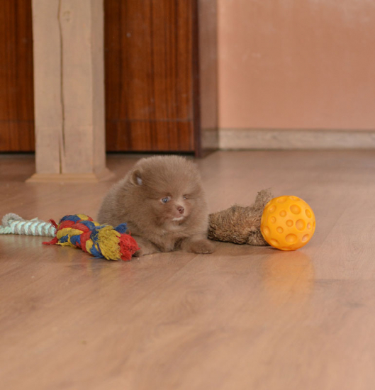 7 weeks 9