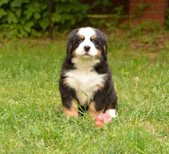 7 weeks 2