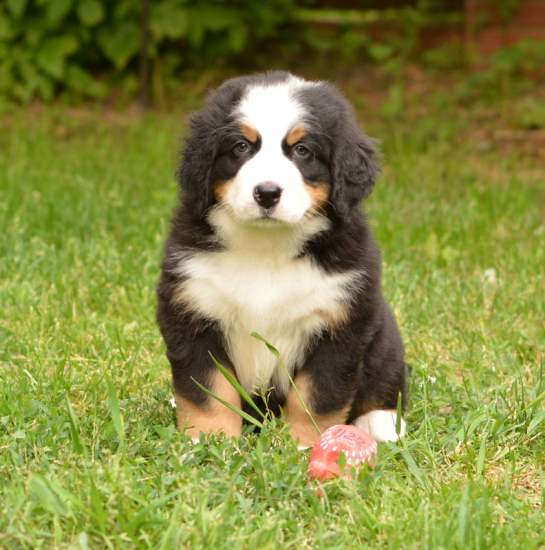 7 weeks 3