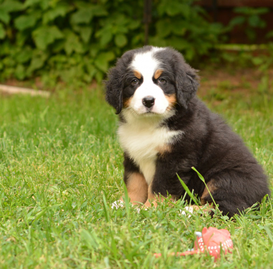 7 weeks 5
