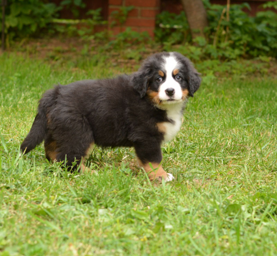 7 weeks 2