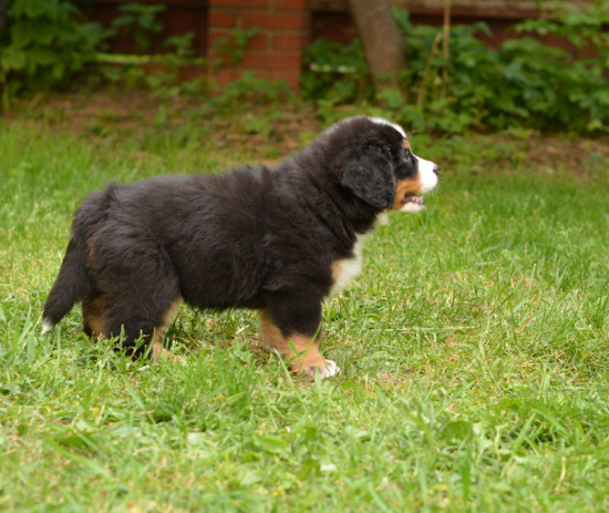 7 weeks 3