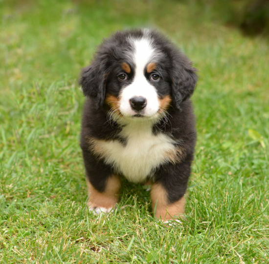7 weeks 5