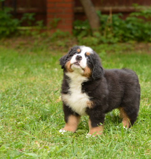 7 weeks 6