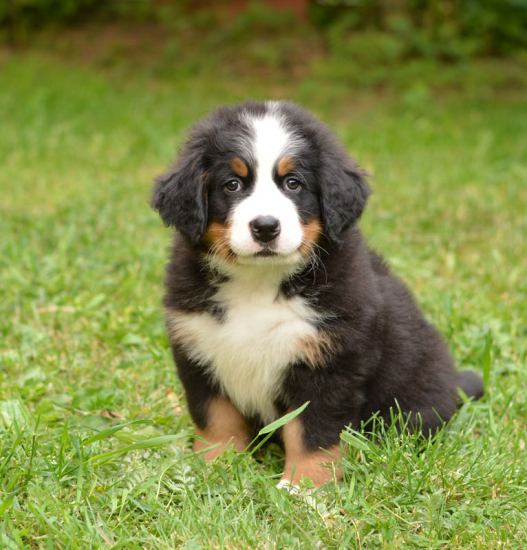 7 weeks 7