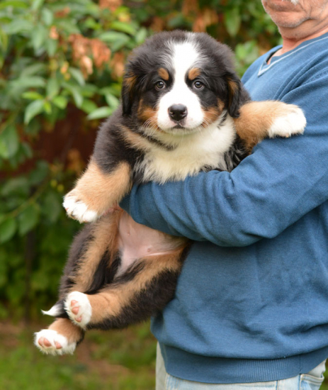 7 weeks 8