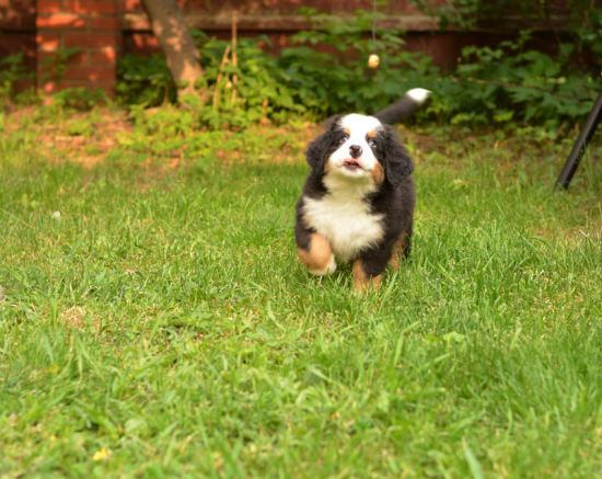 7 weeks 1