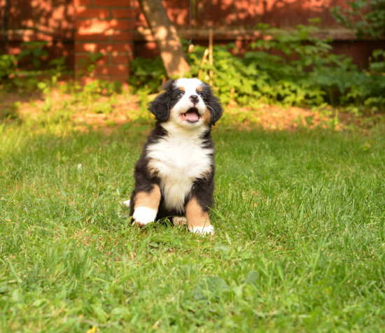 7 weeks 11