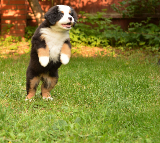 7 weeks 12
