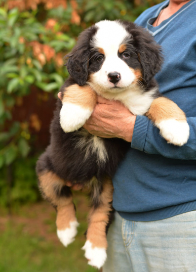 7 weeks 13