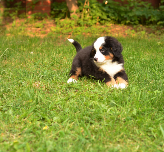 7 weeks 2