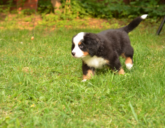 7 weeks 3