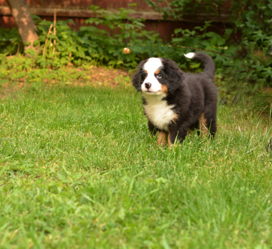 7 weeks 7