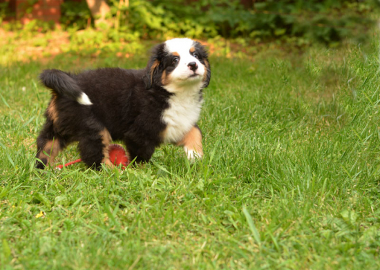 7 weeks 9