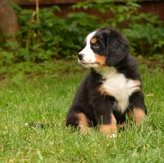 7 weeks 1