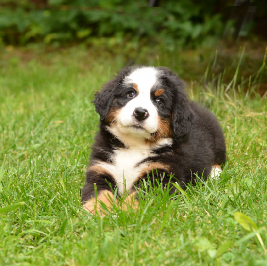 7 weeks 3