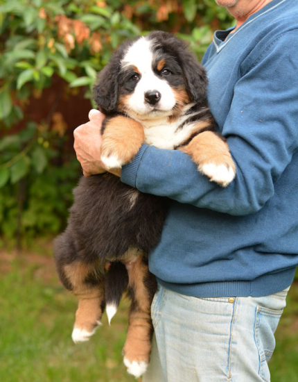 7 weeks 4