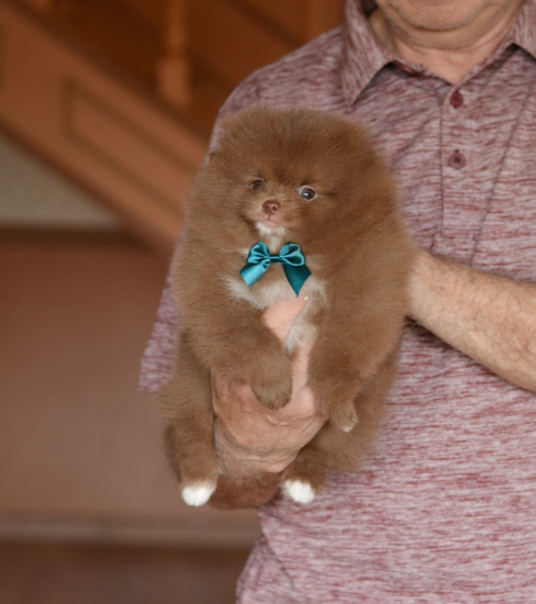7 weeks 1