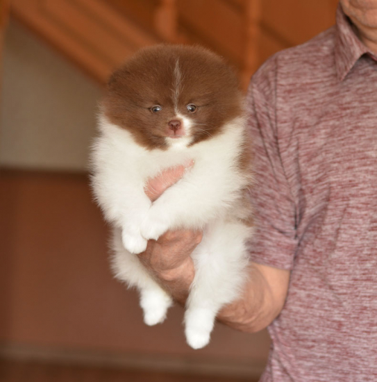 7 weeks 1