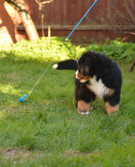 9 weeks 9
