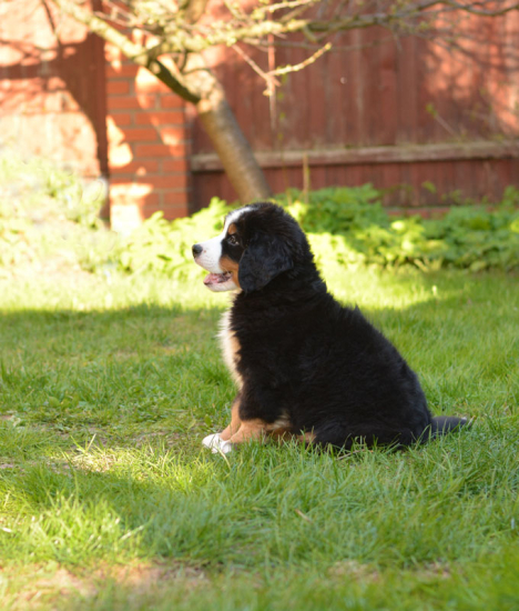 9 weeks 2
