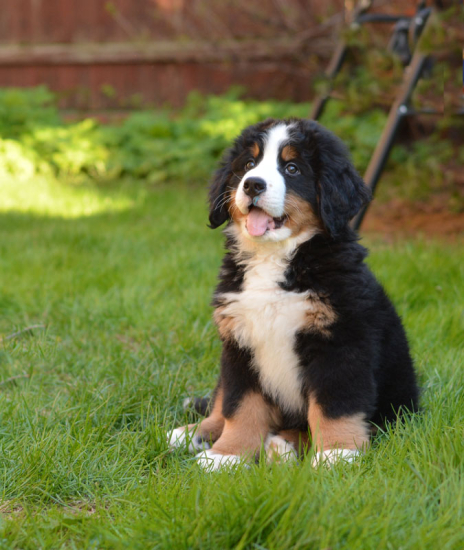 9 weeks 5
