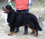 opus17k riga 29 10 2011