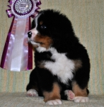 k green 7weeks 1