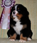 k green 7weeks 3