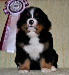 k green 7weeks 4