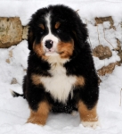 k green 8weeks 14