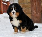 k green 8weeks 5