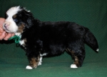 k green 4weeks 4
