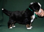 k green 4weeks 5