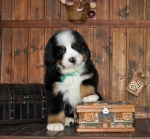 k green 8weeks 5