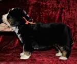 s yellow 5weeks